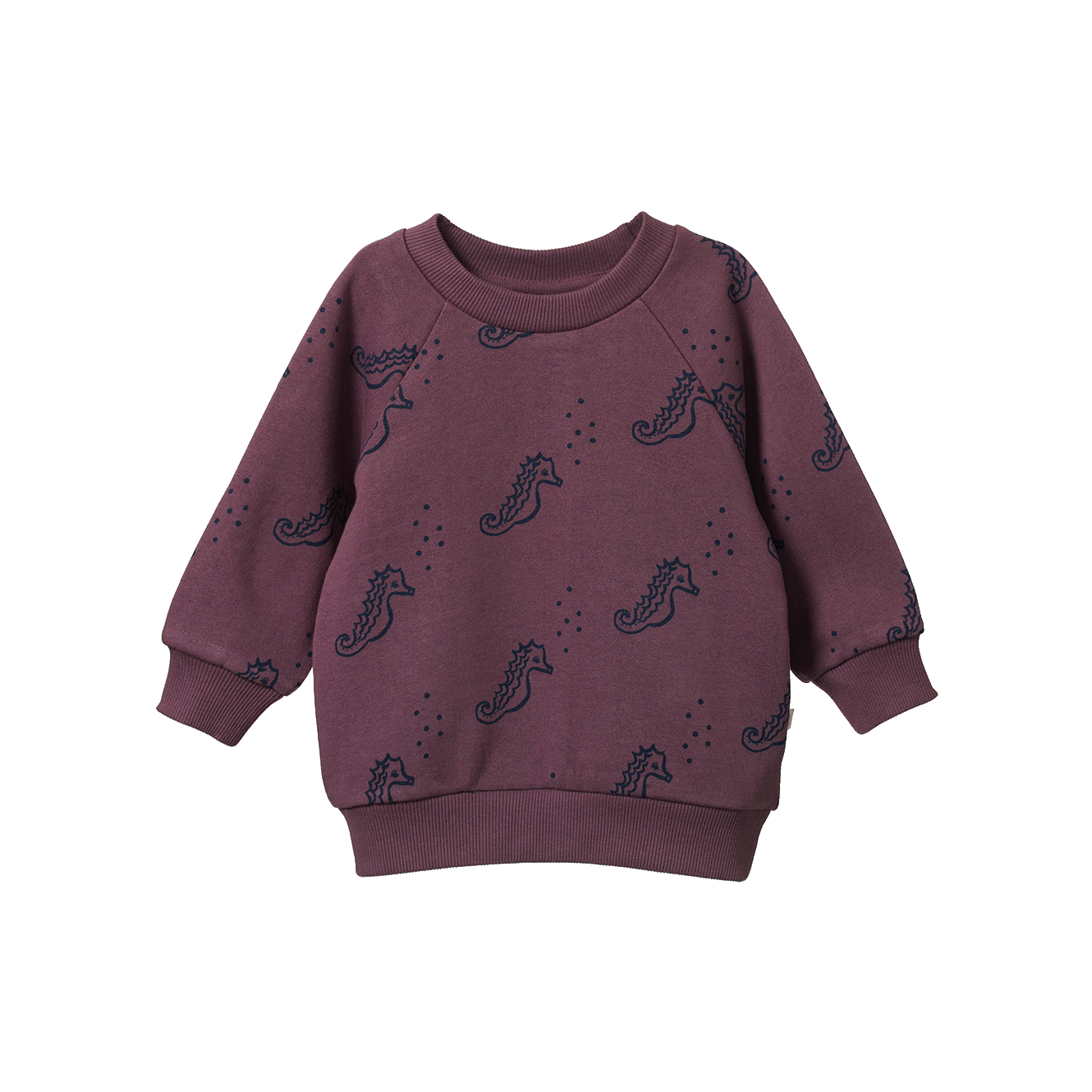 Nature Baby Emerson Sweater - Neptune Print