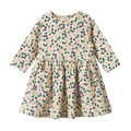 Long Sleeve Twirl Dress - Grande Briarwood Print
