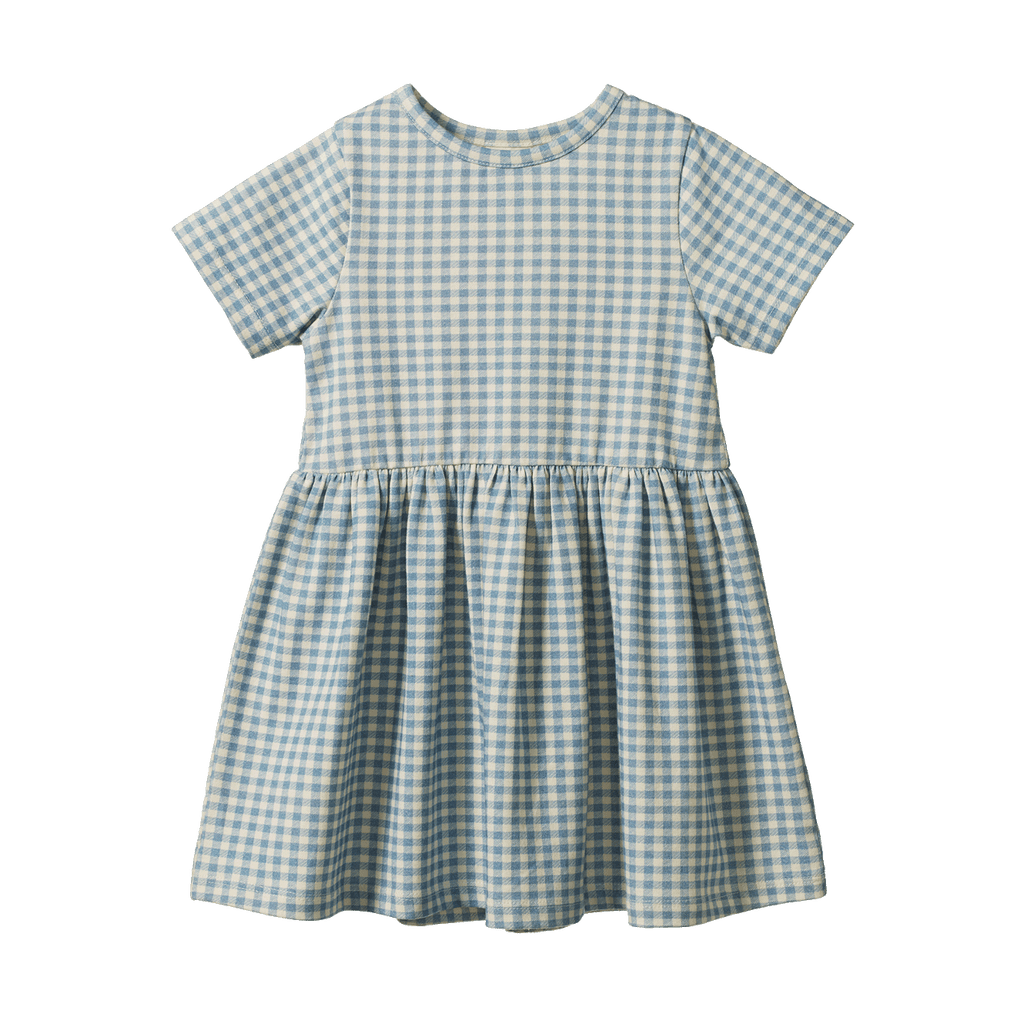 Saturday Dress - Blue Gingham