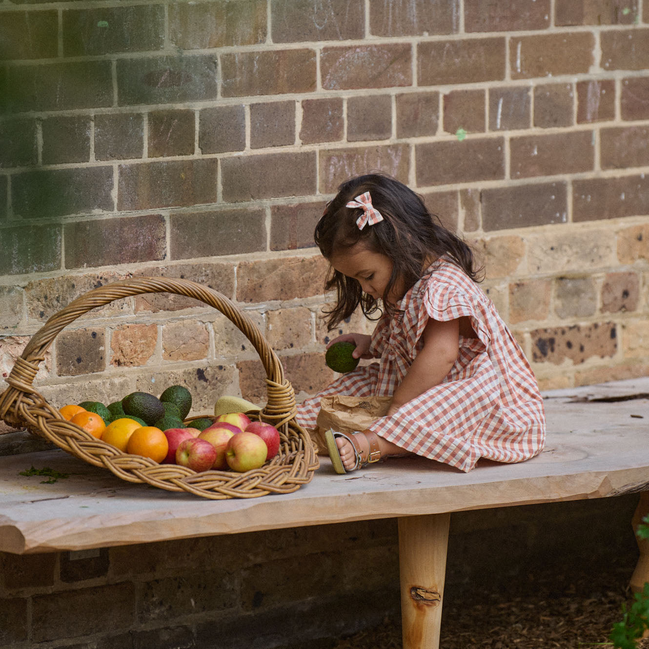 Bow Hair Clips - Dandelion Gingham
