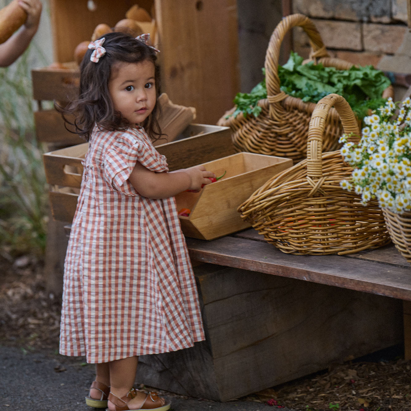 Una Dress - Dandelion Gingham