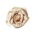 Wrap - Dandelion Print