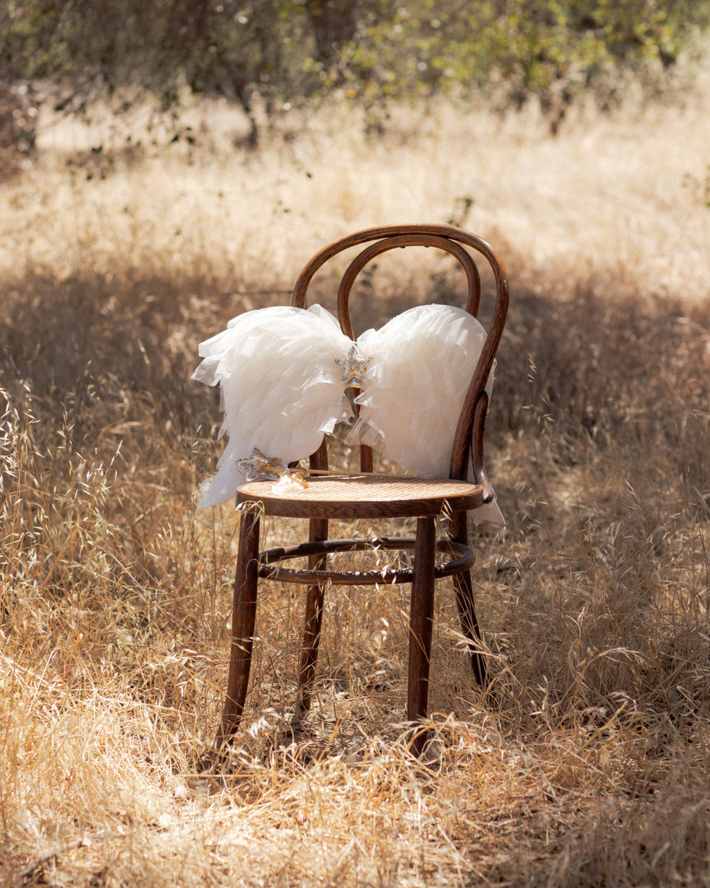 PRE-ORDER - Angel Wings Ivory Shimmer