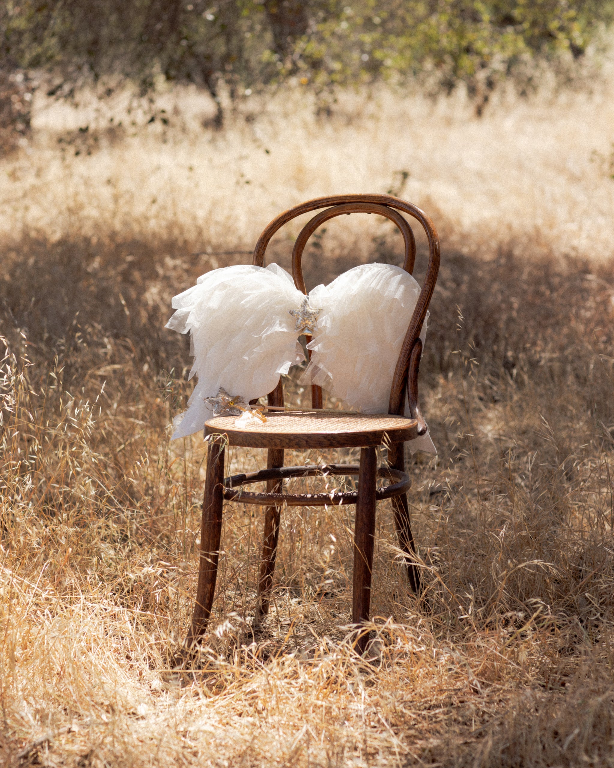 PRE-ORDER - Angel Wings Ivory Shimmer