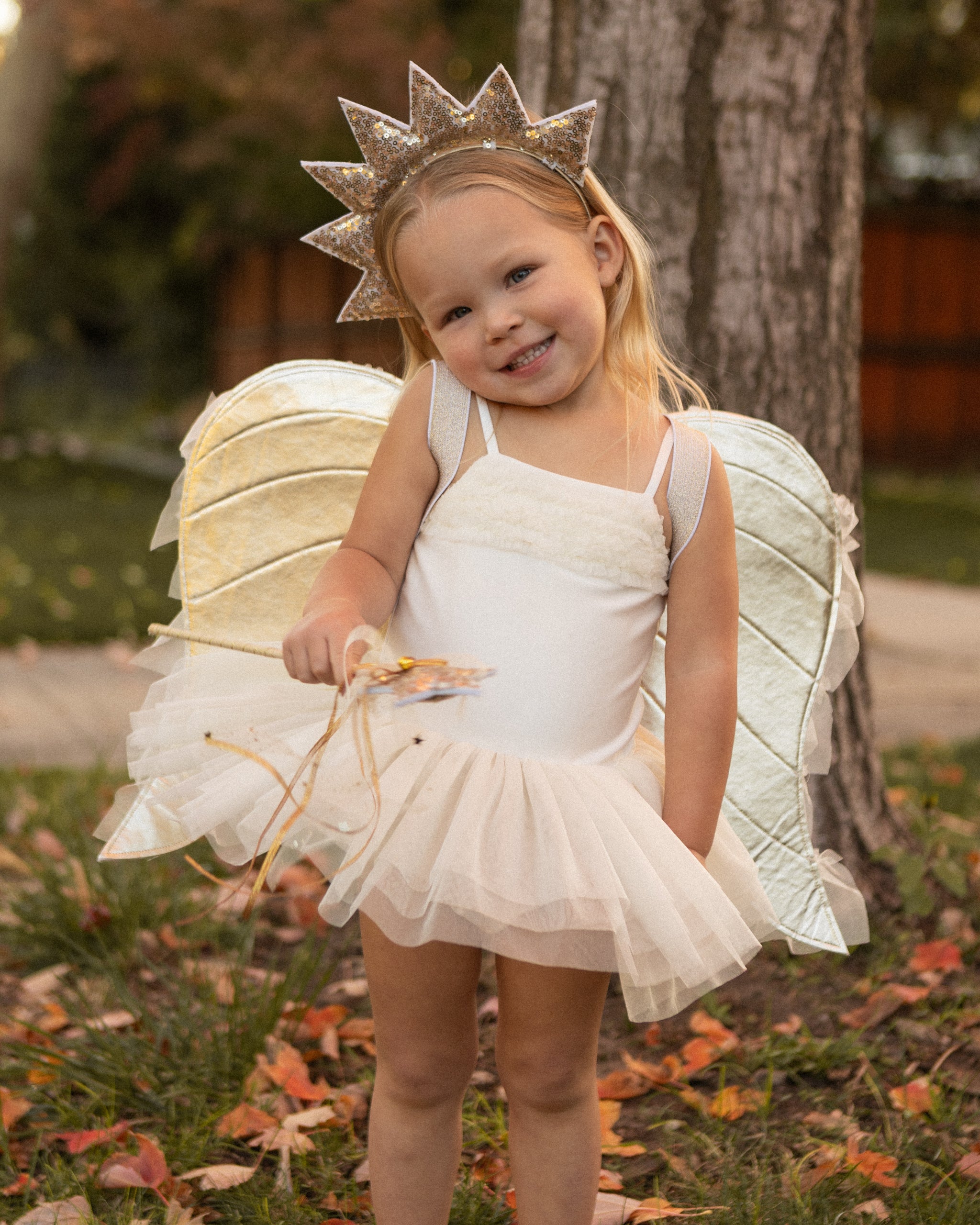 PRE-ORDER - Angel Wings Ivory Shimmer