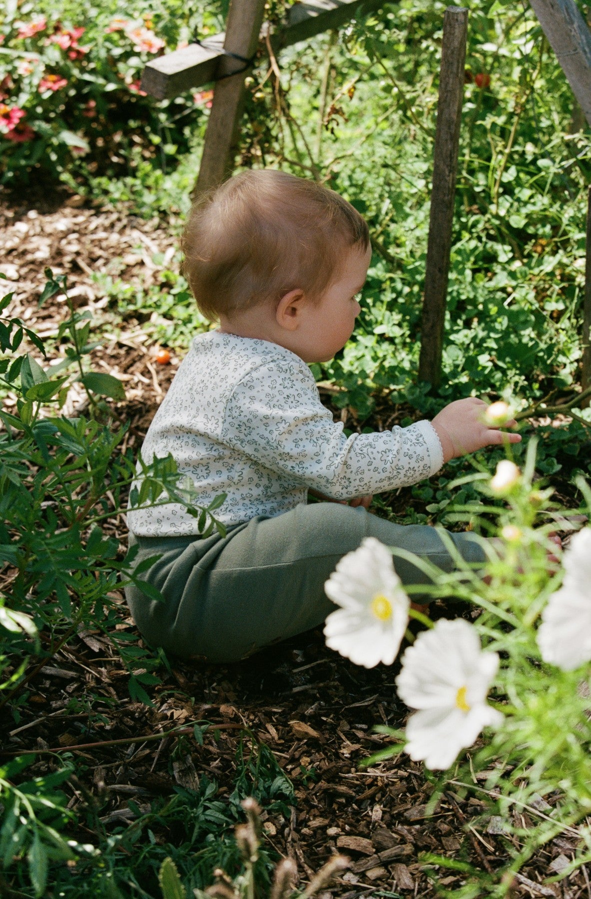 Long Sleeve Bodysuit - Petite Bloomsbury Print