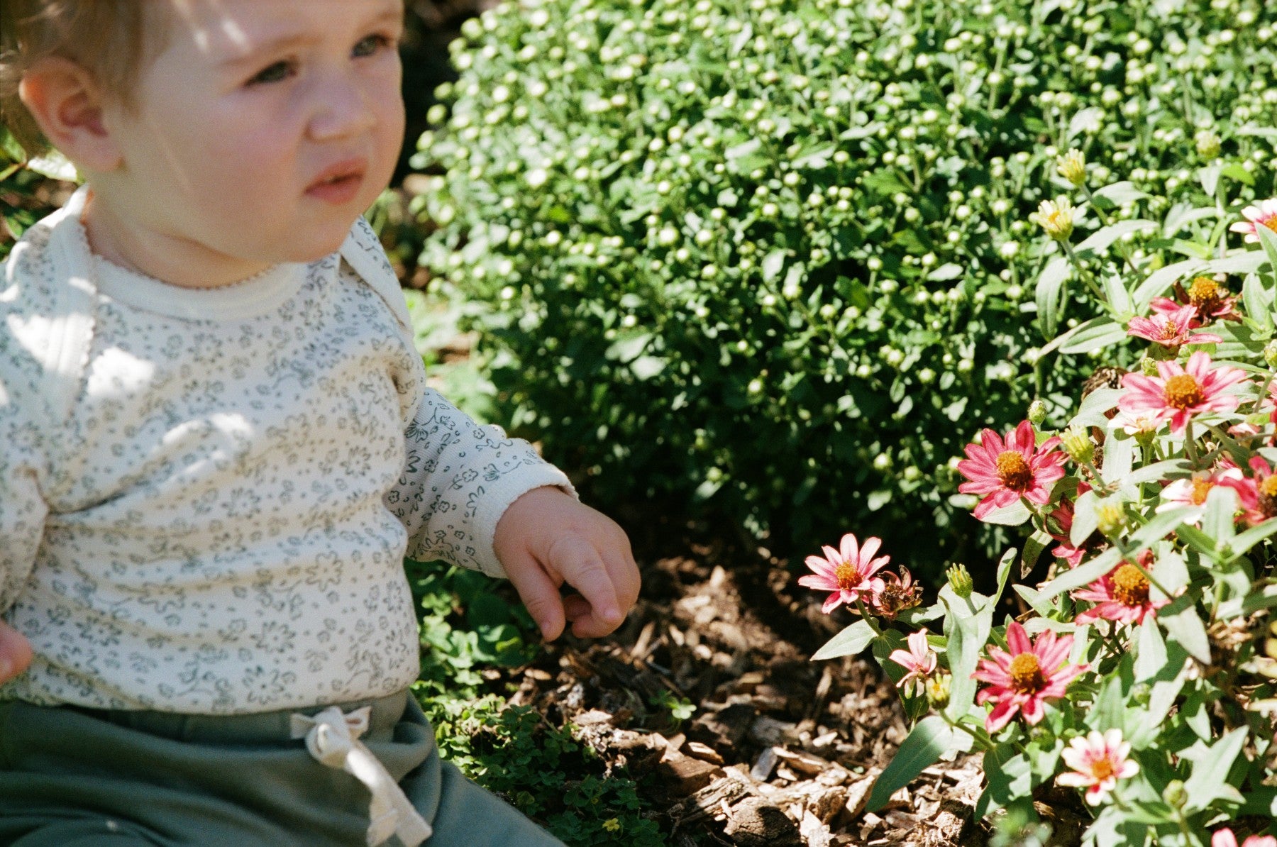 Long Sleeve Bodysuit - Petite Bloomsbury Print
