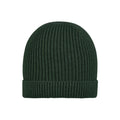 Organic Beanie - Tommy / Pine