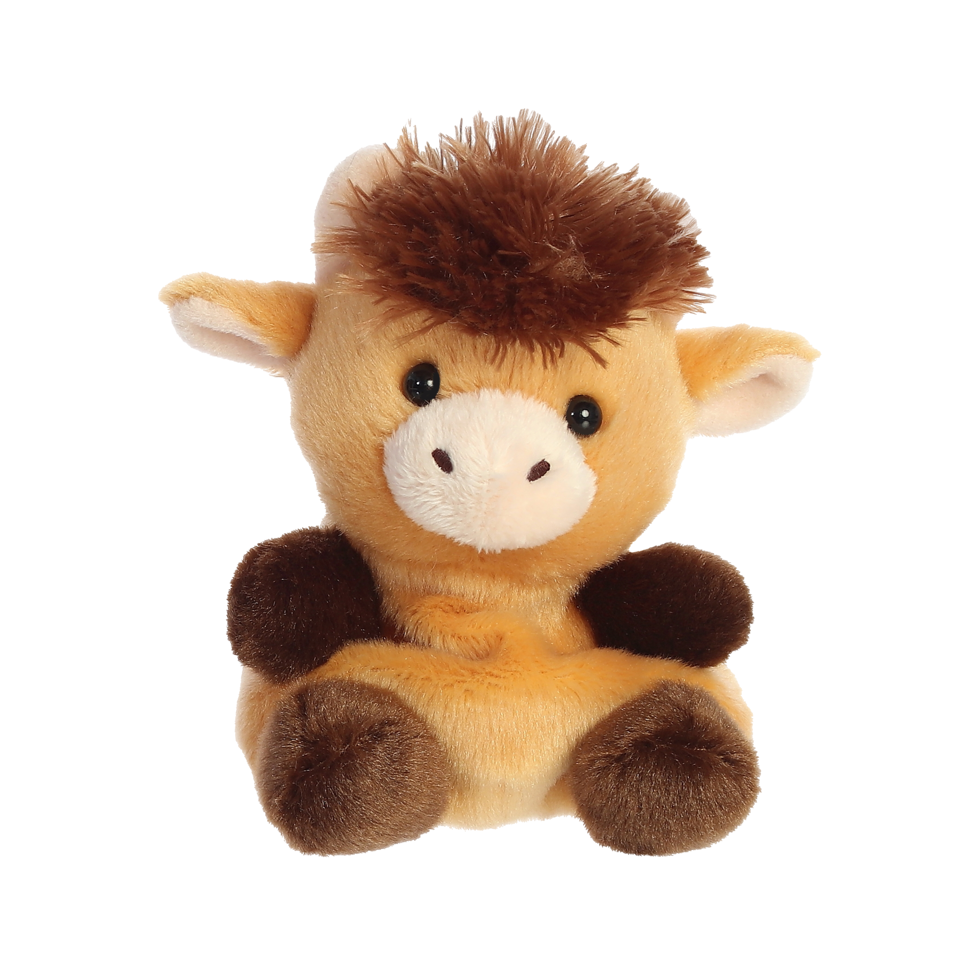 Palm Pal - Hubert Highland Cow