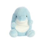 Clicks Dolphin