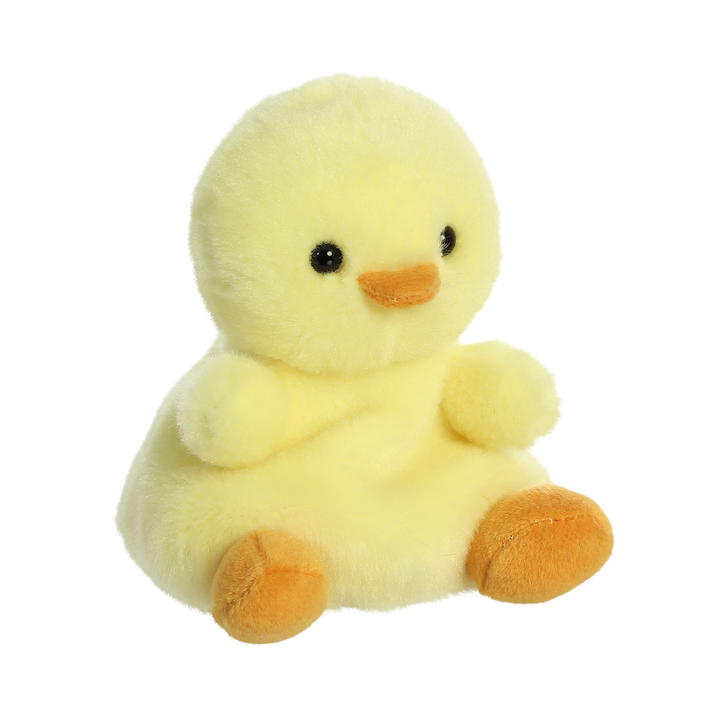 Palm Pal - Betsy Chick