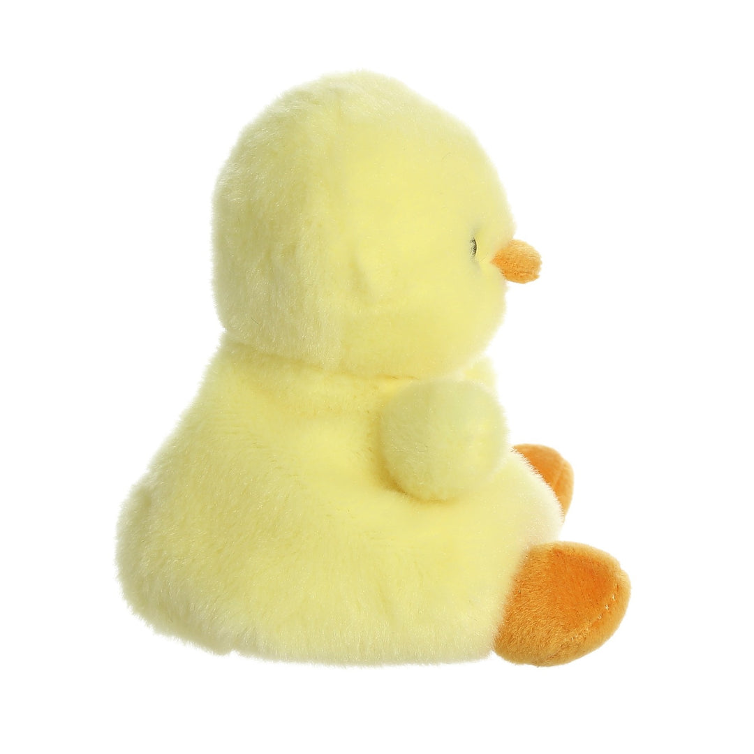 Palm Pal - Betsy Chick