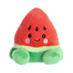 Sandy Watermelon