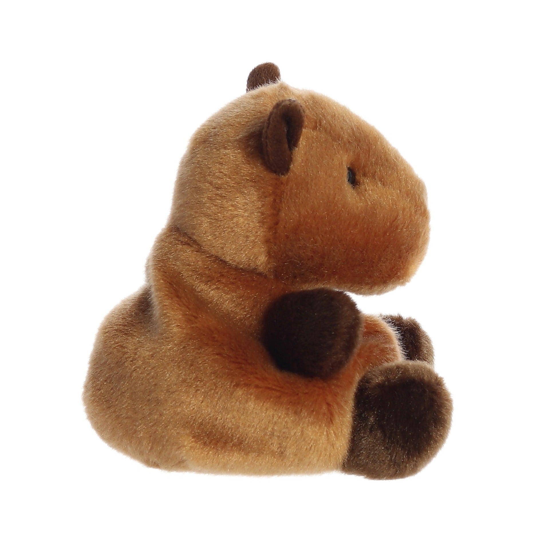 Palm Pal - Sid Capybara