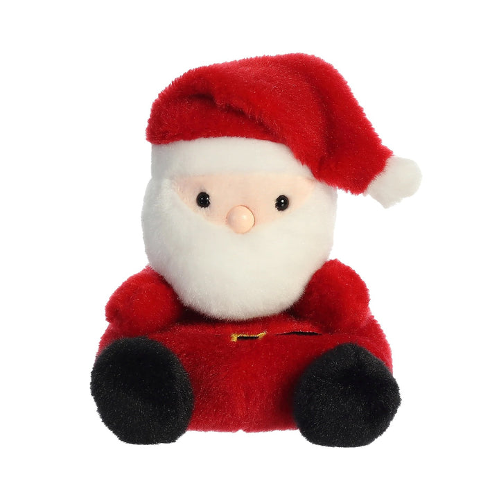 Palm Pal - Santa Claus