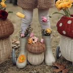 Porcini Basket