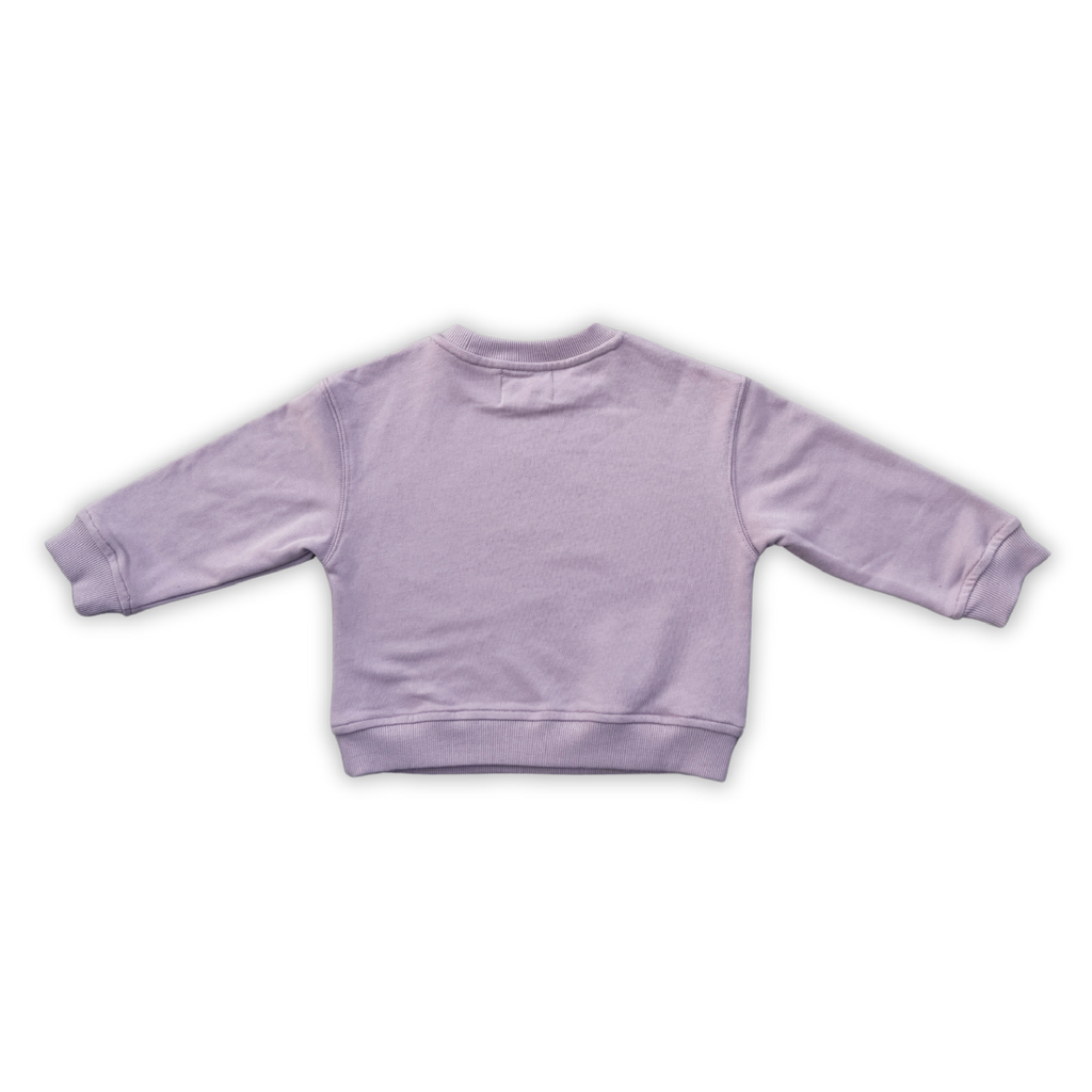 Parrot Fish Jumper - Grape