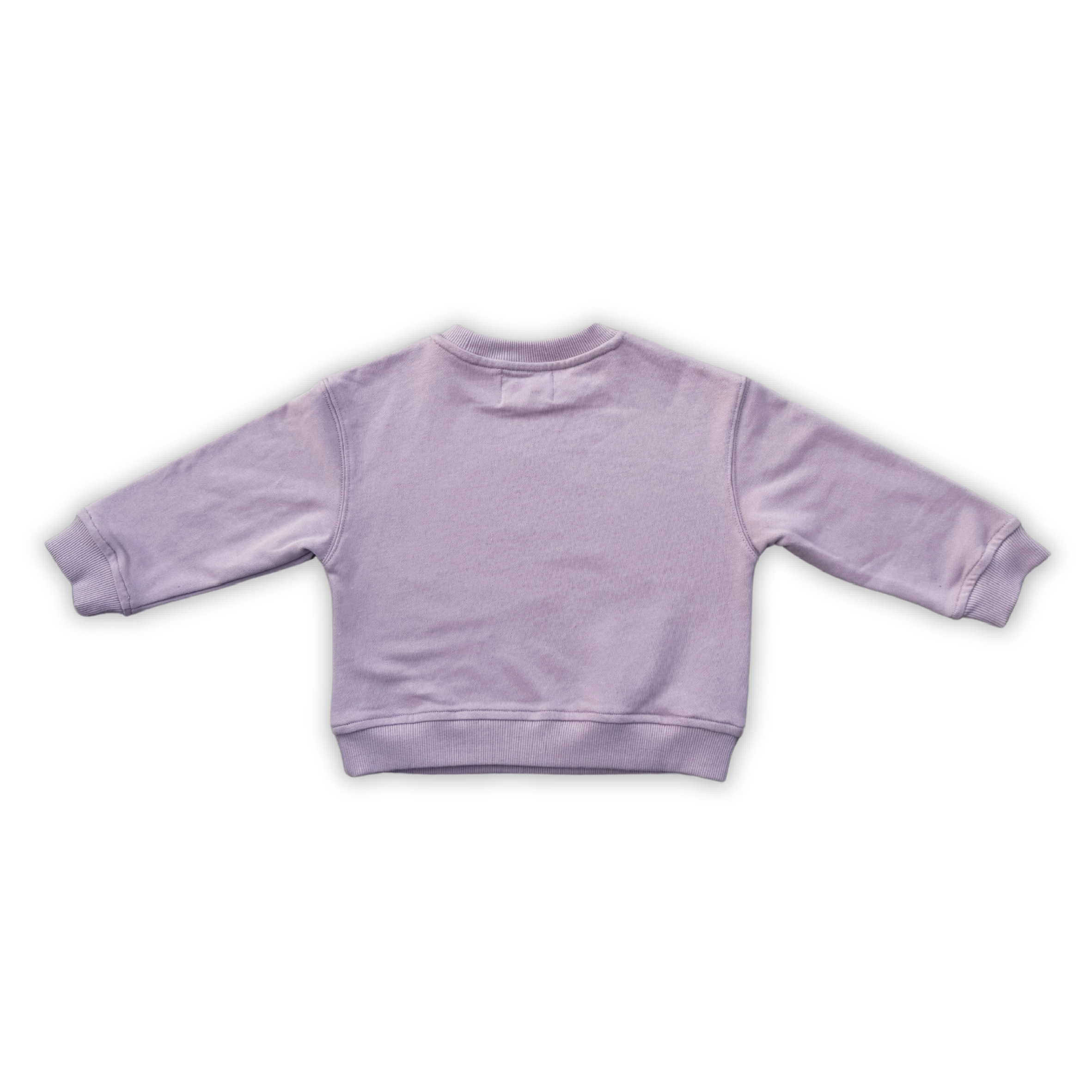 Parrot Fish Jumper - Grape