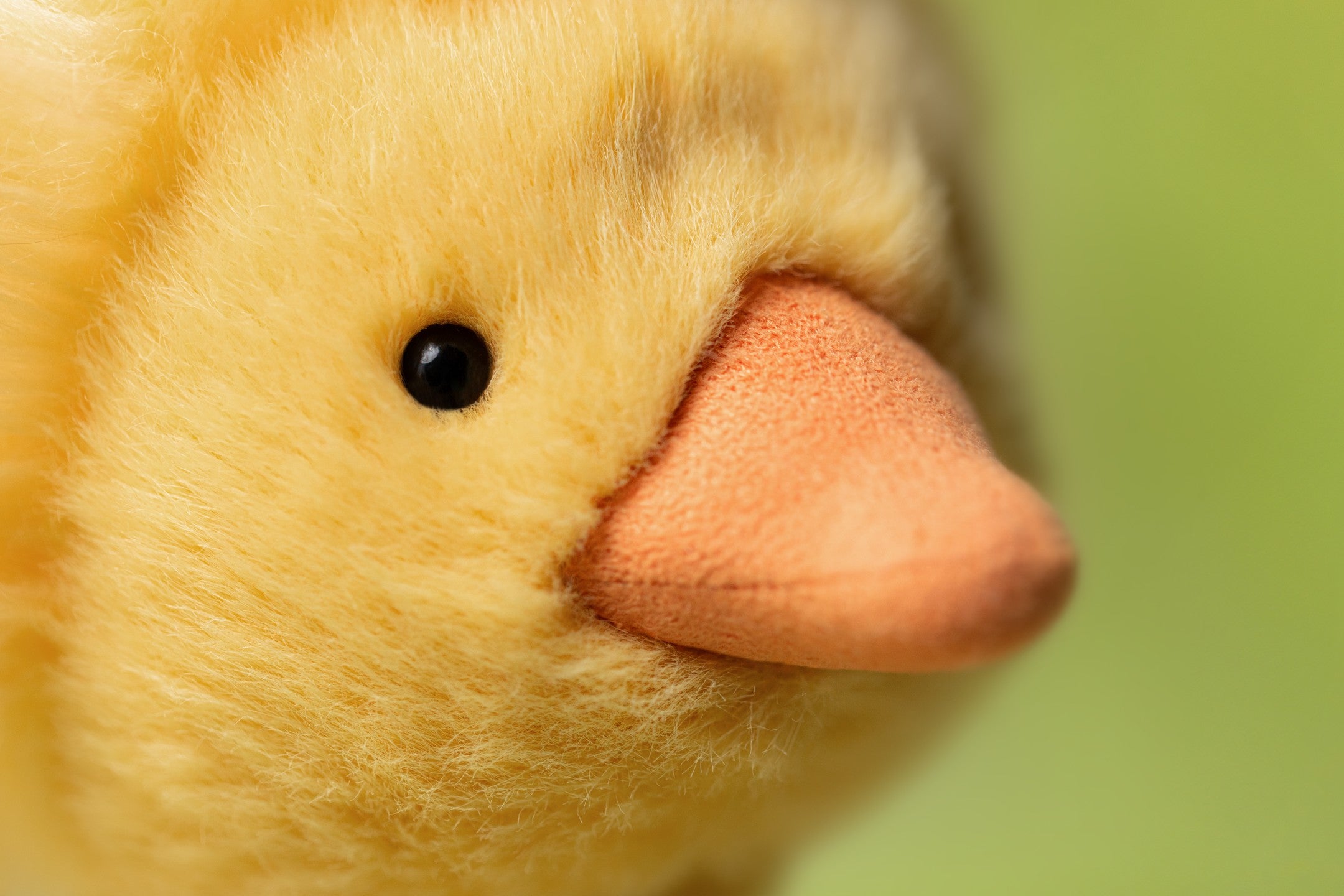 Jellycat Dorit Duckling – Daisy and Hen
