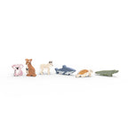 World Animals - Oceania