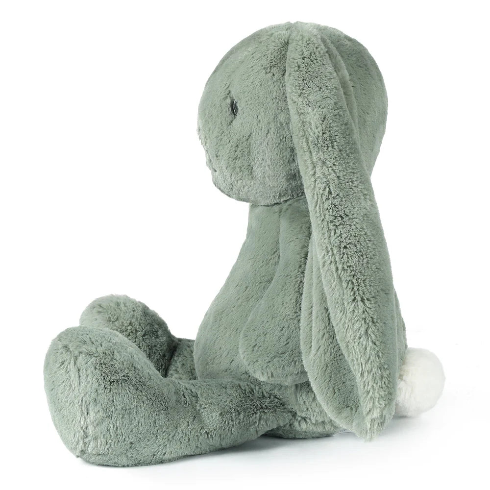 Big Beau Bunny