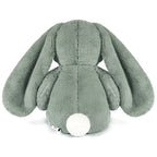 Big Beau Bunny