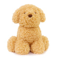 Luca Labradoodle