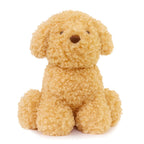Luca Labradoodle
