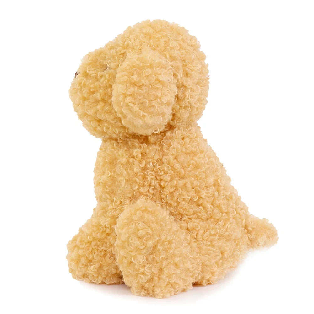 Luca Labradoodle