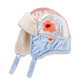 Hej Blomma! Sherpa Trapper Hat