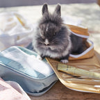 See-ya Wash Bag - Butterscotch