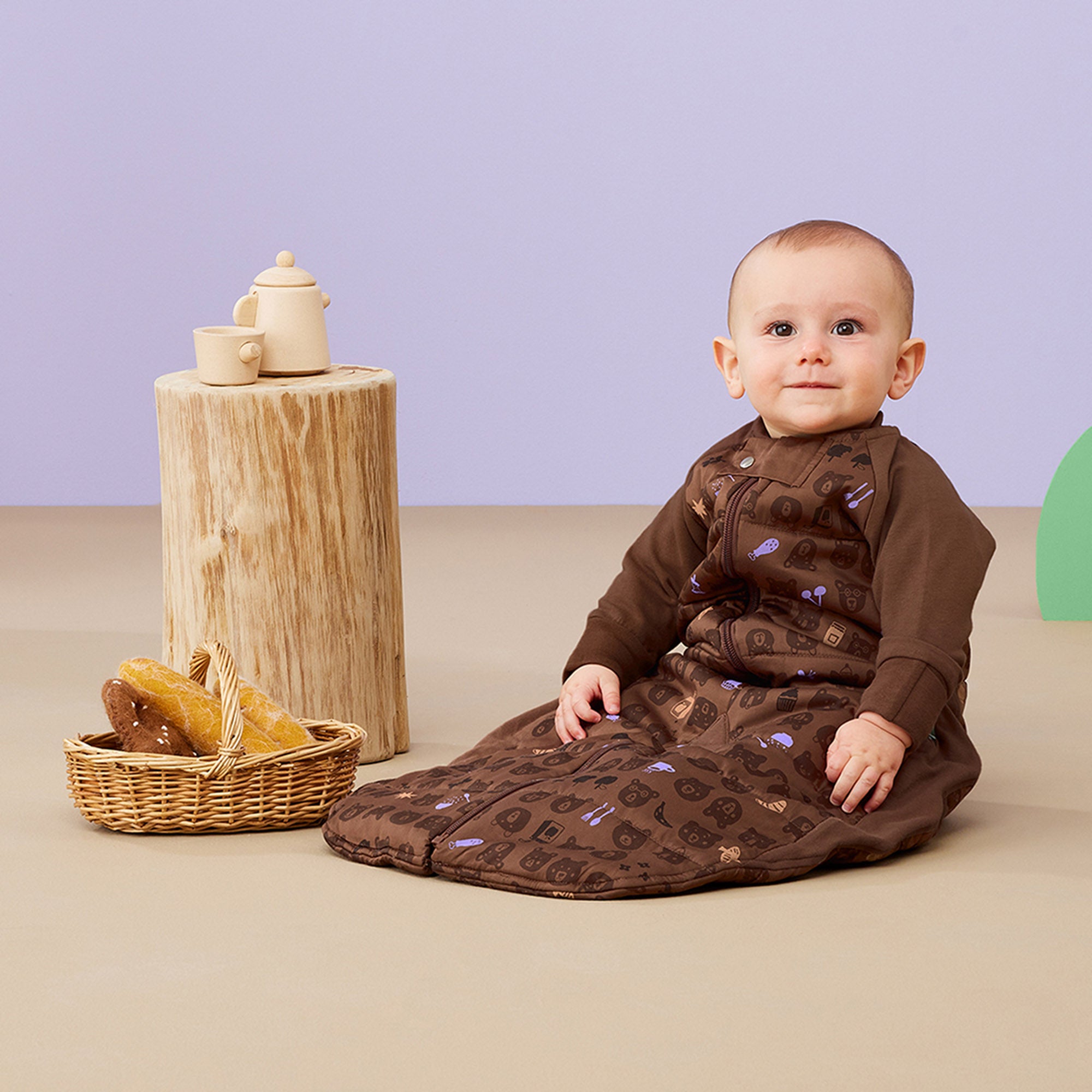 Sleep Suit Bag  2.5 TOG - Picnic
