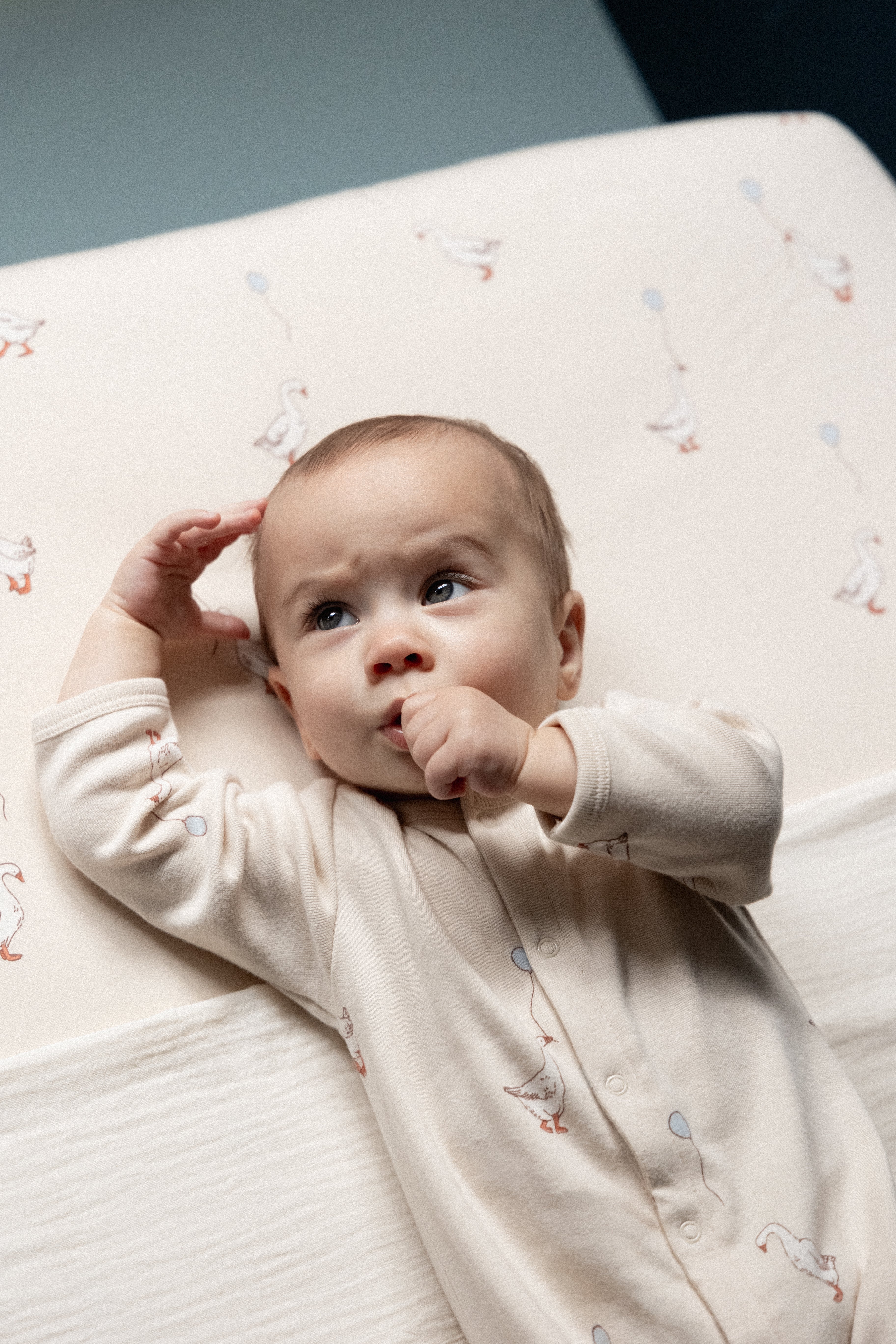 Nature Baby Stretch & Grow - Goose Lullaby Print