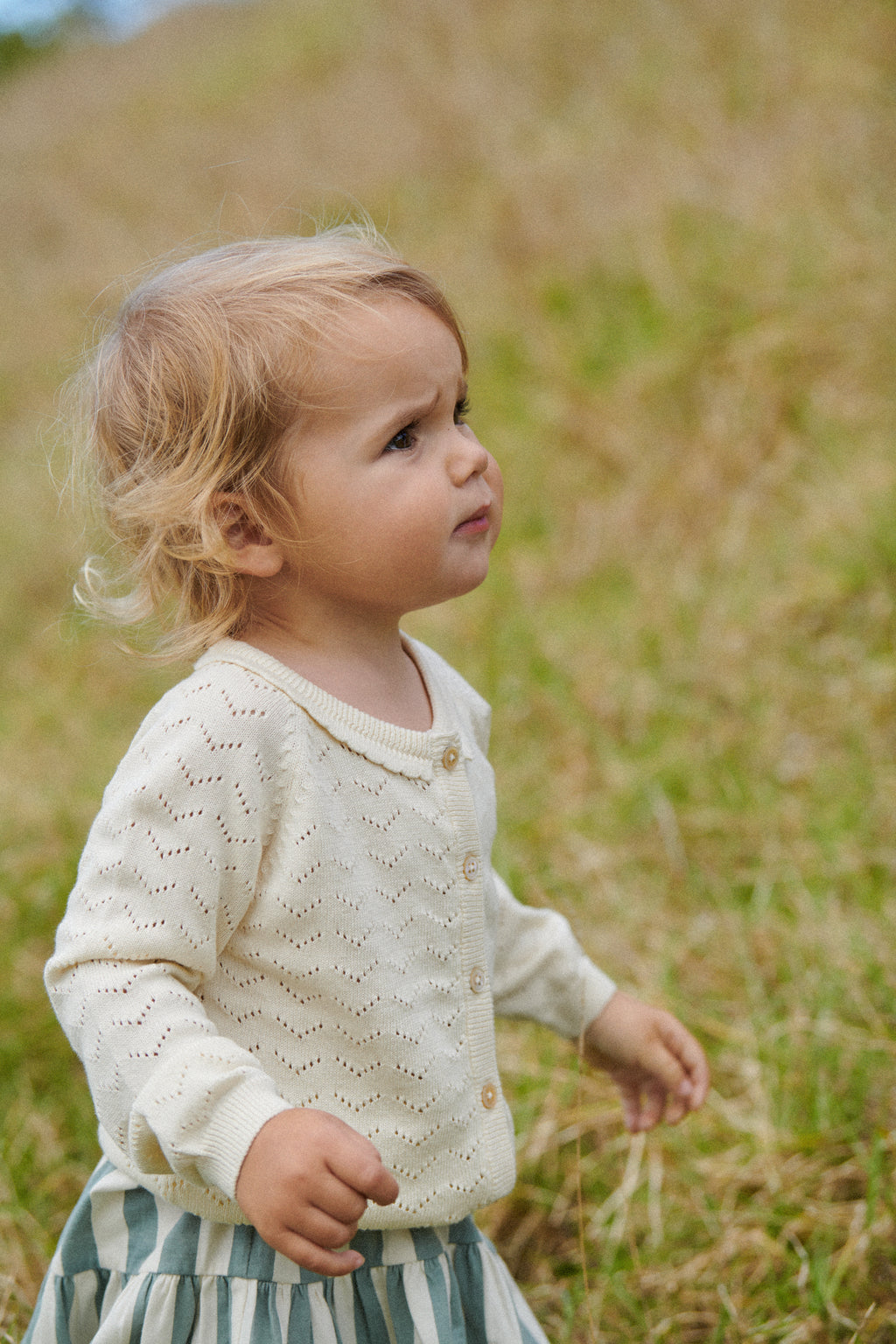 Lala Skirt - Star Dew Stripe
