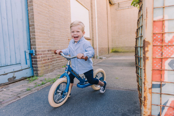 Vintage Trybike - Blue