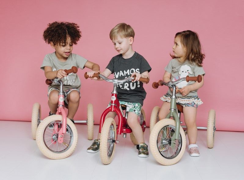 Vintage Trybike - Pink