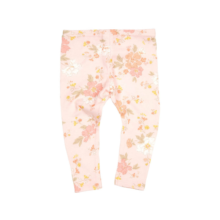 Toshi Baby Tights - Classic / Marnie Pearl
