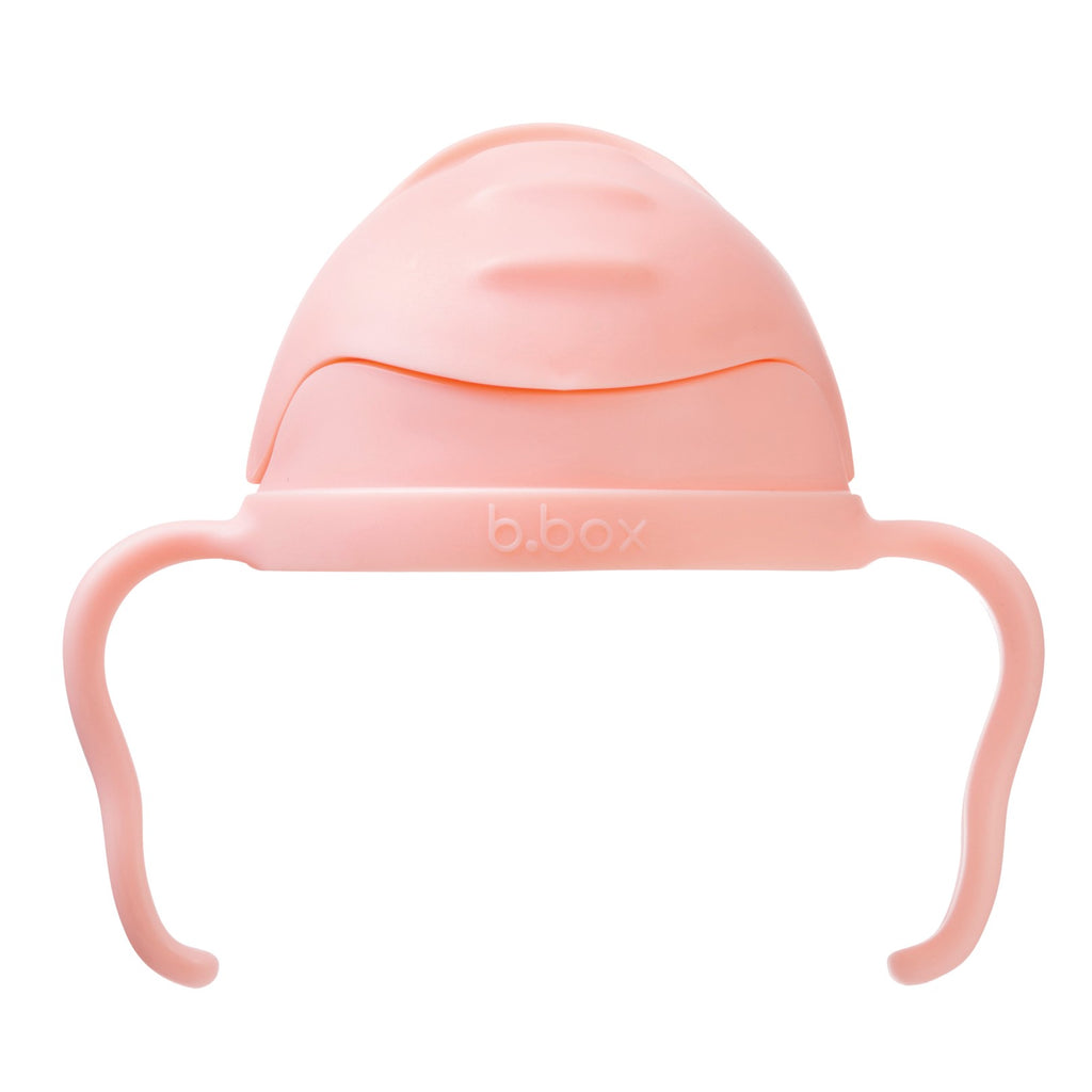 Gelato Sippy Cup - Tutti Frutti
