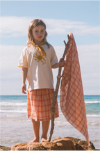 Woven Stripe Skirt