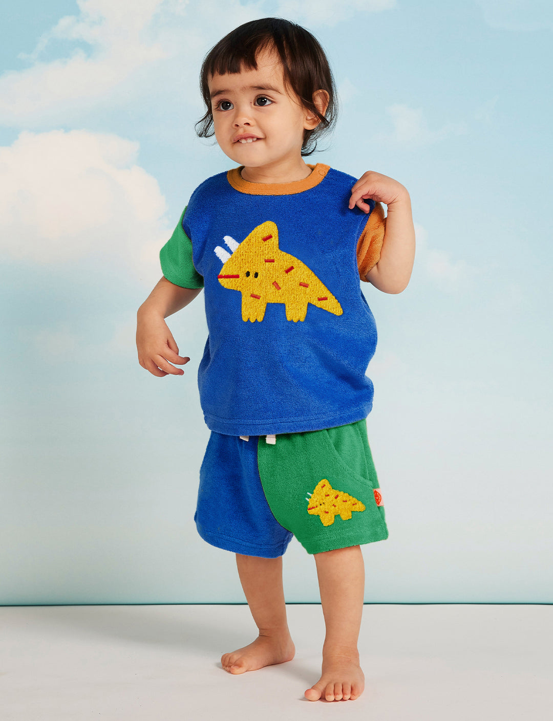 Halcyon Nights Dino Days Terry Shorts