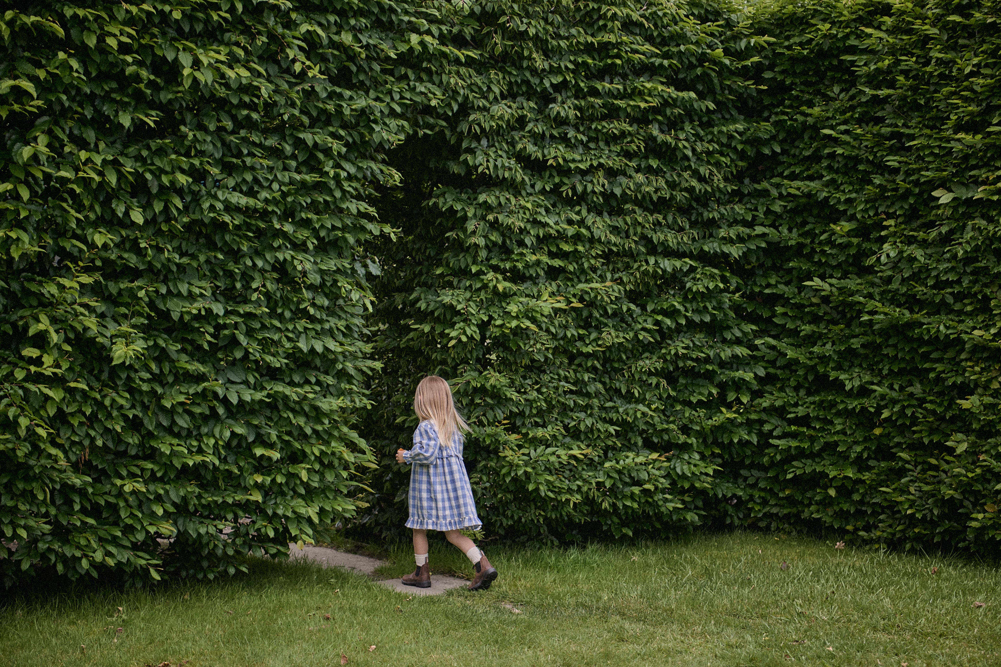 Nora Dress - Bluebelle Check