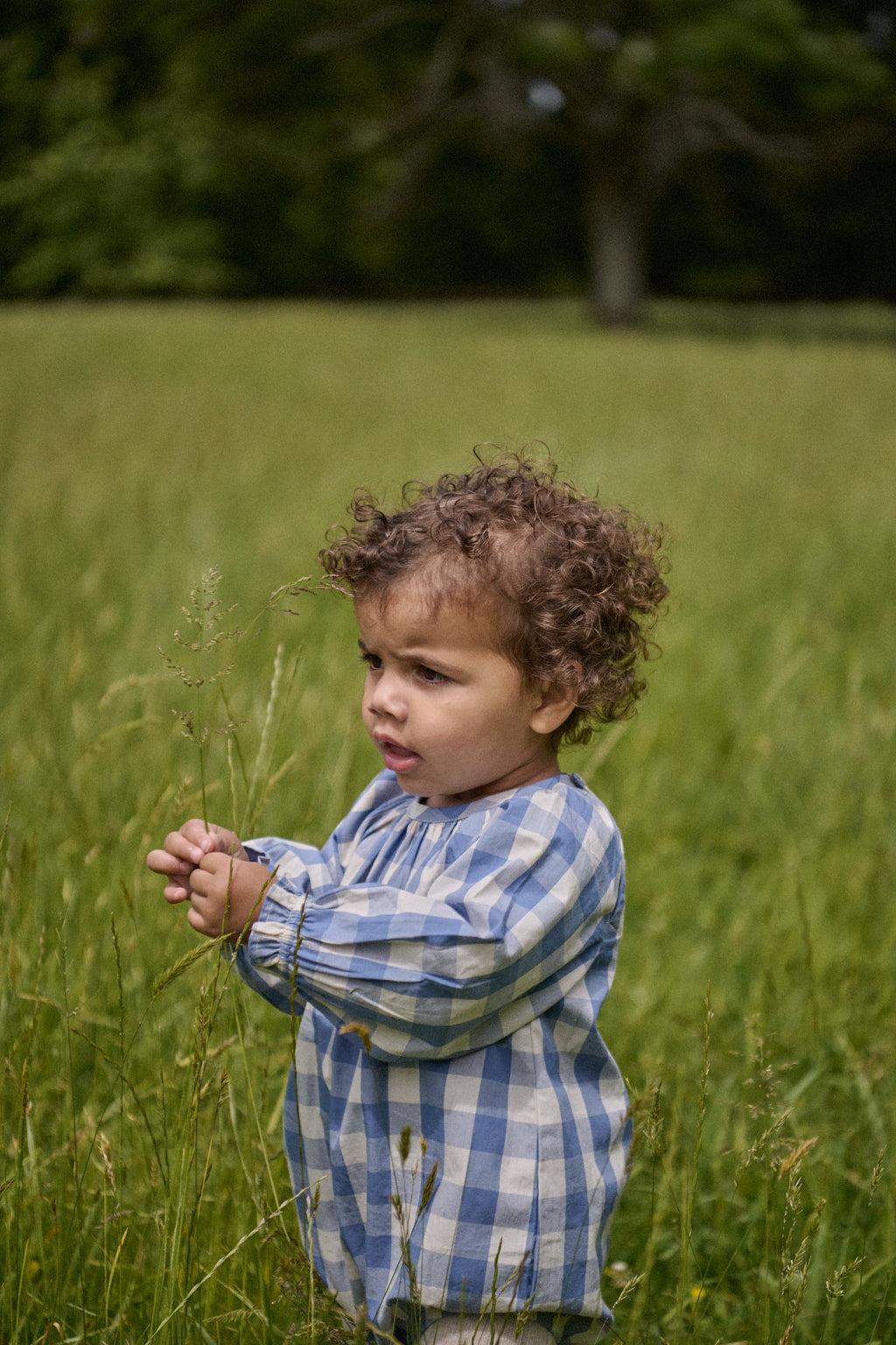 Meadow Bodysuit Gingham - Bluebelle Check