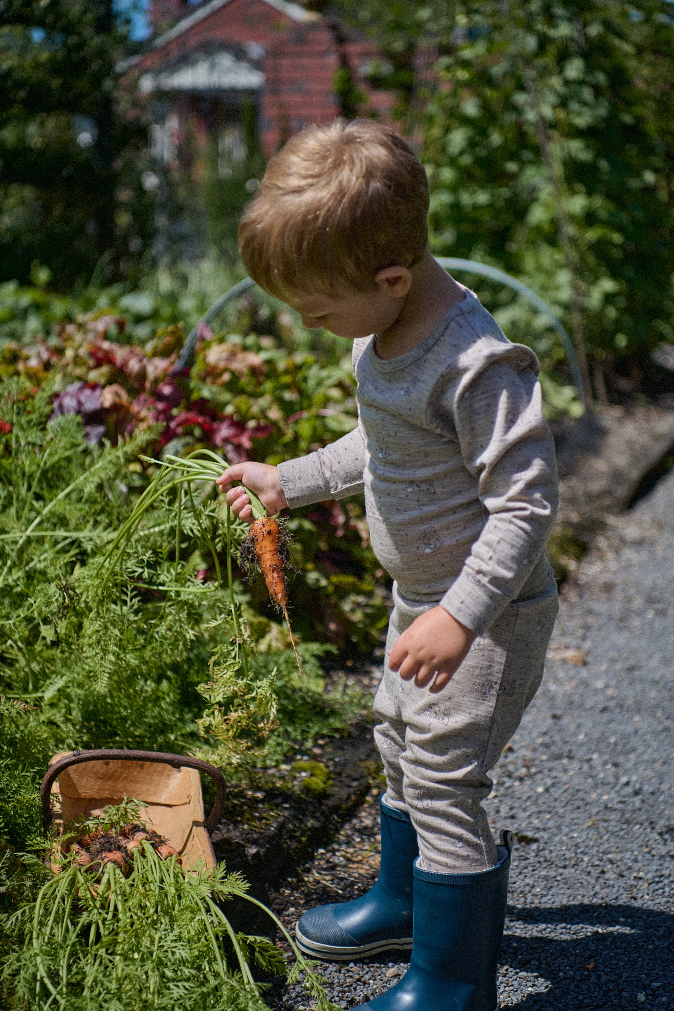 Merino Essentials 2Pc Pyjamas - Bramble Burrow Print Merino