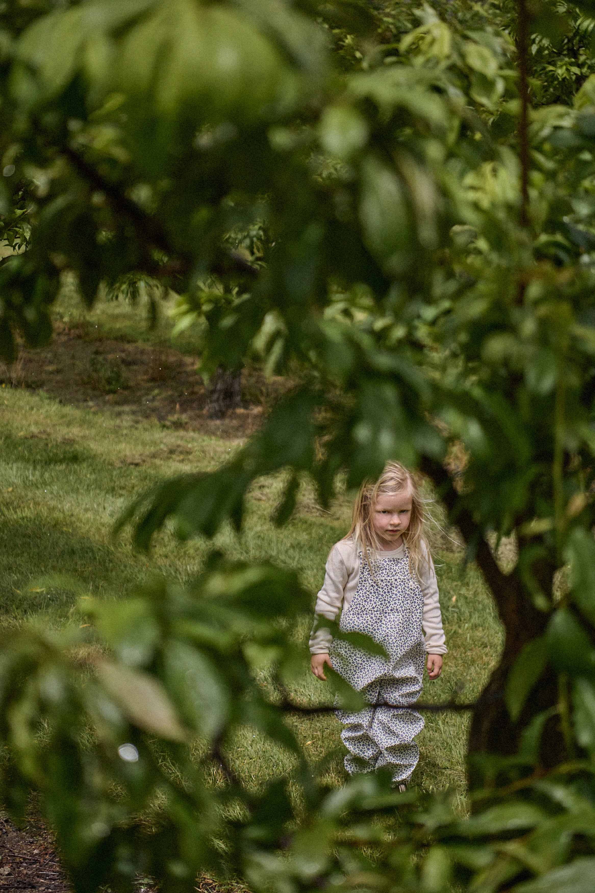 Splash Overalls - Briarwood Heron Print