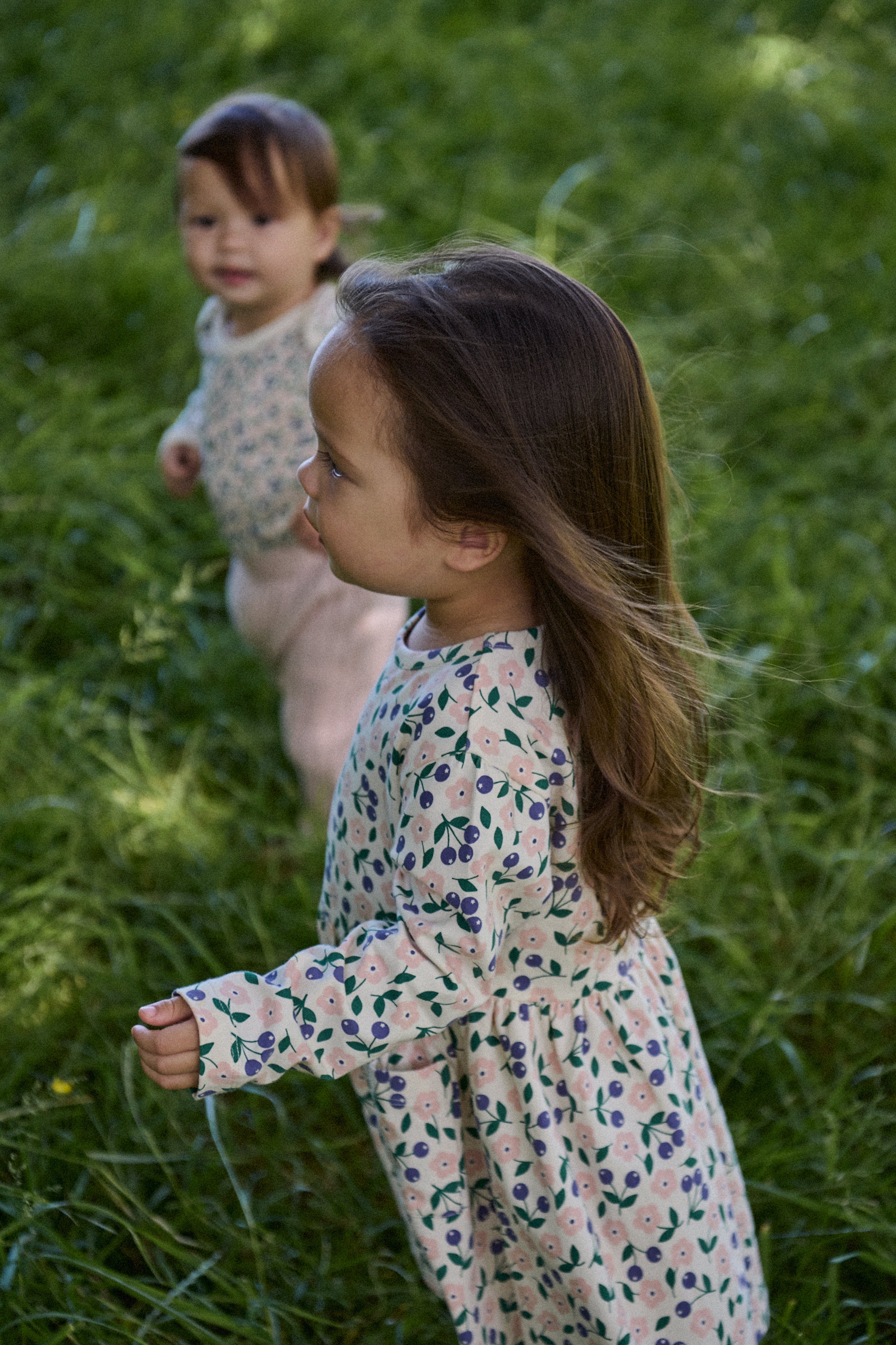 Long Sleeve Twirl Dress - Grande Briarwood Print