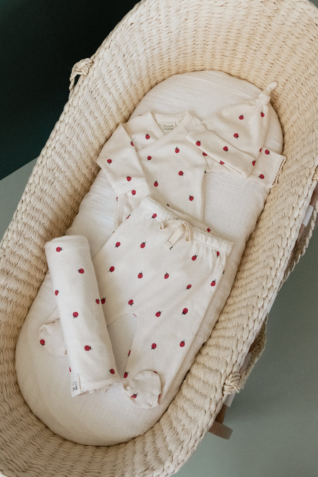 Welcome Home Bundle - Raspberry Print