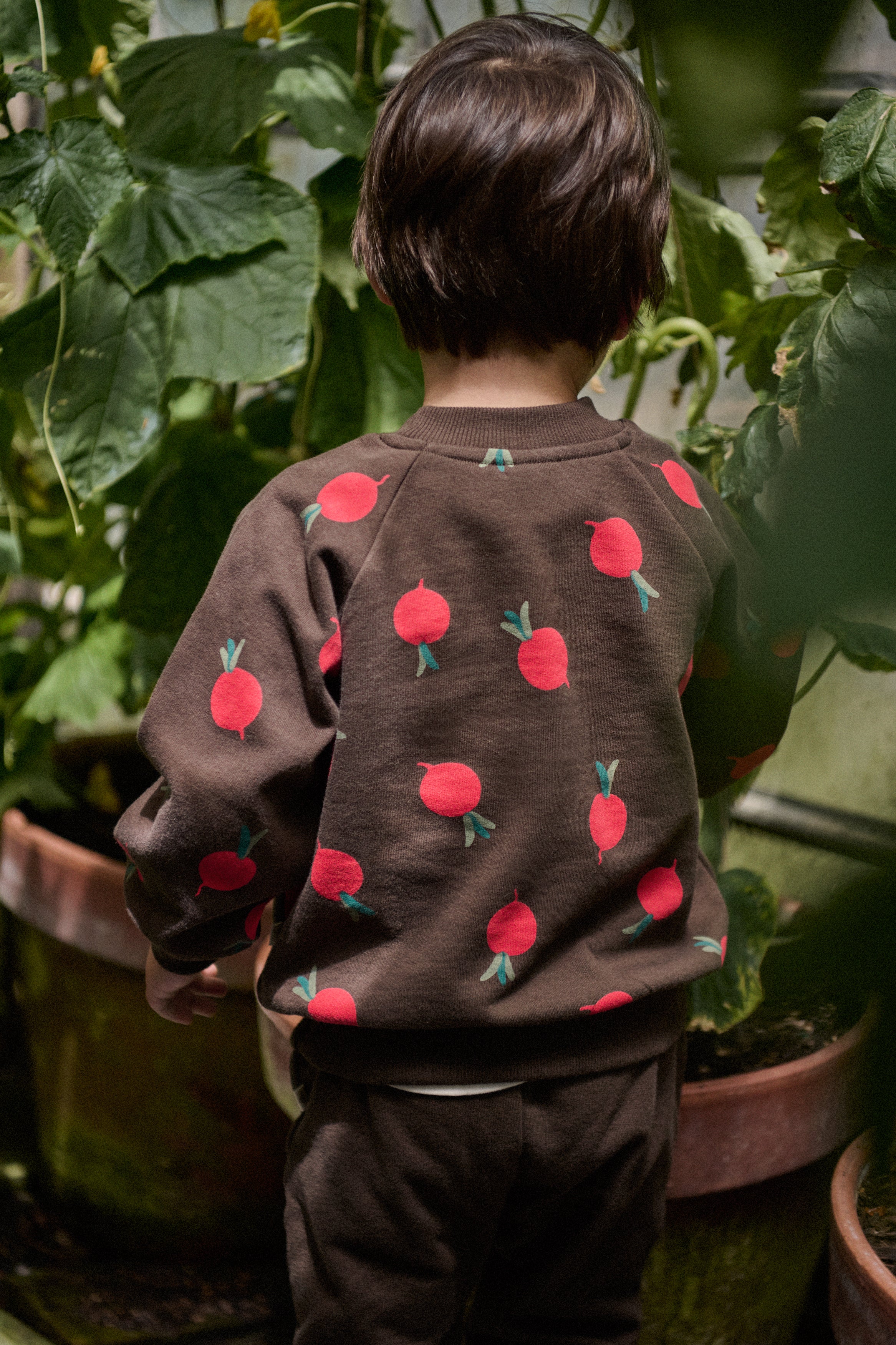 Emerson Sweater - Grande Radish