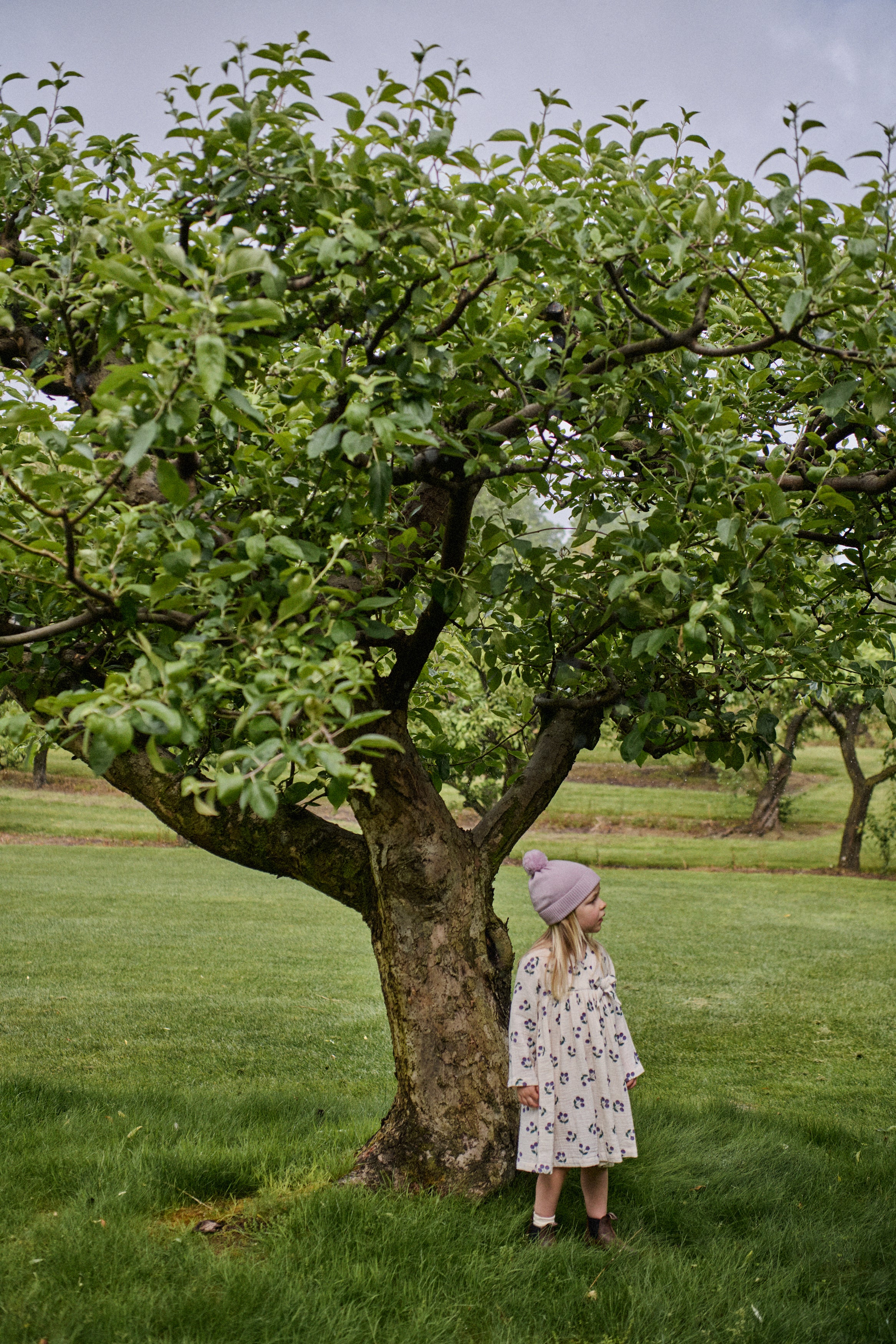 Mabel Dress - Winter Berry Natural Print