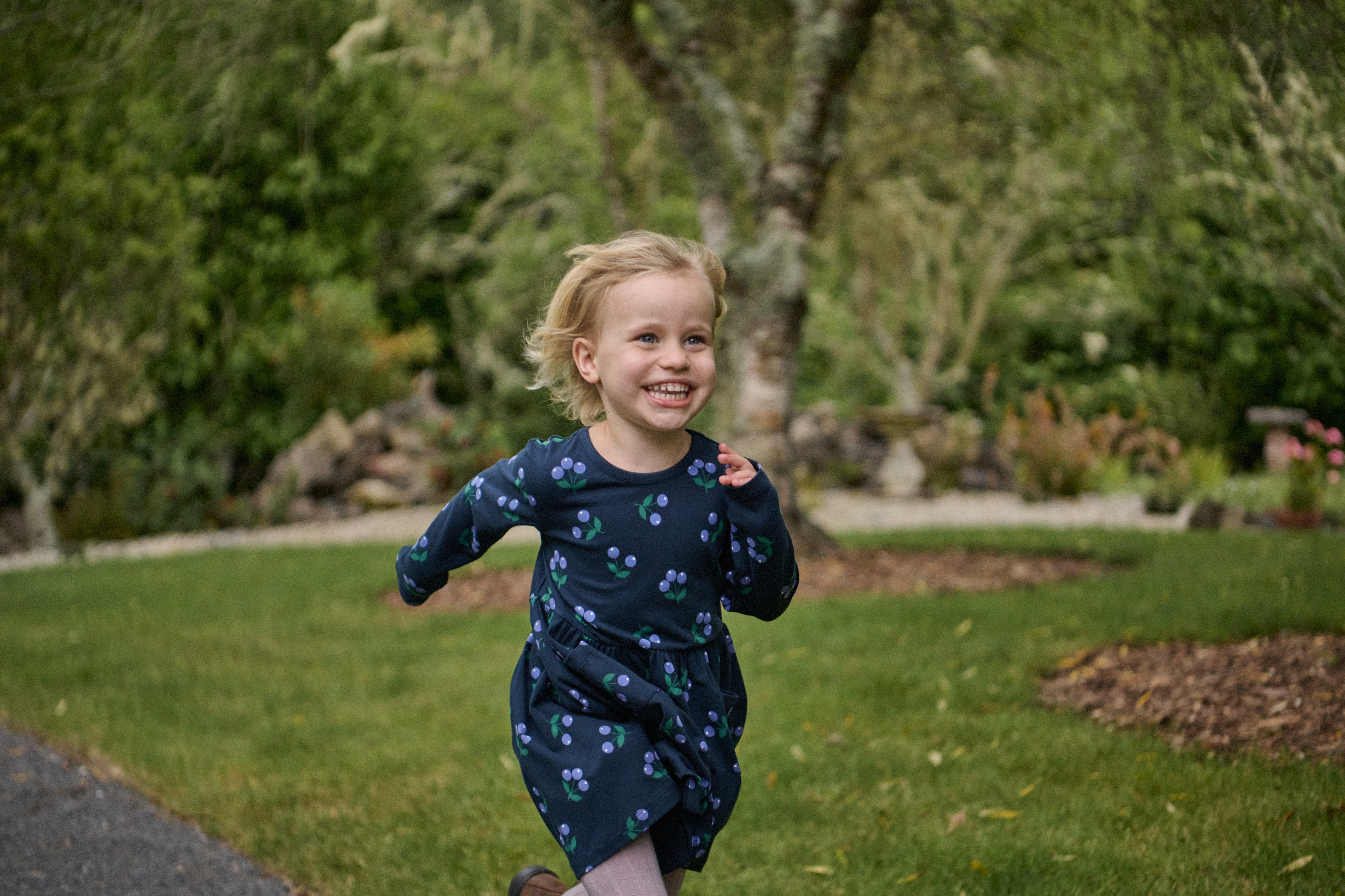 Long Sleeve Twirl Dress - Winter Berry Navy Print