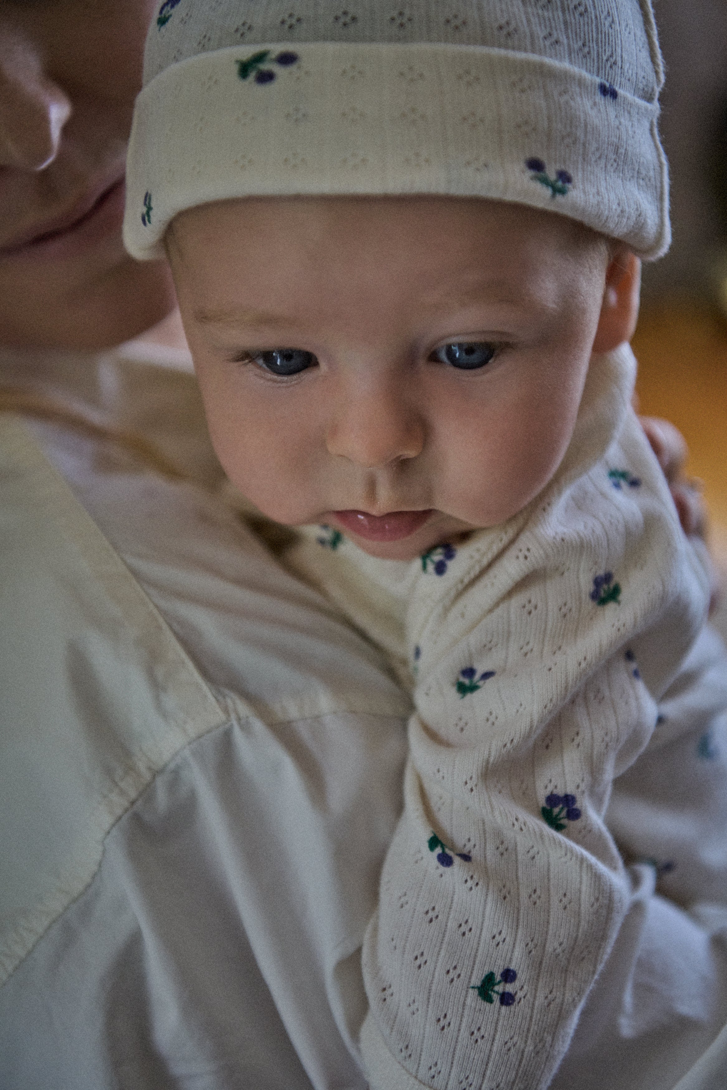 Knotted Beanie Pointelle - Winter Berry Print